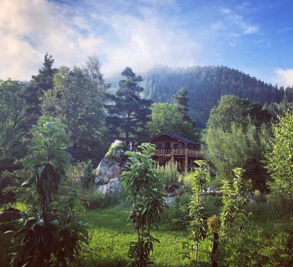 Casa Baciu Guest house *
