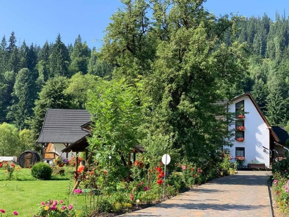 Pensiune Casa Baciu Fundu Moldovei