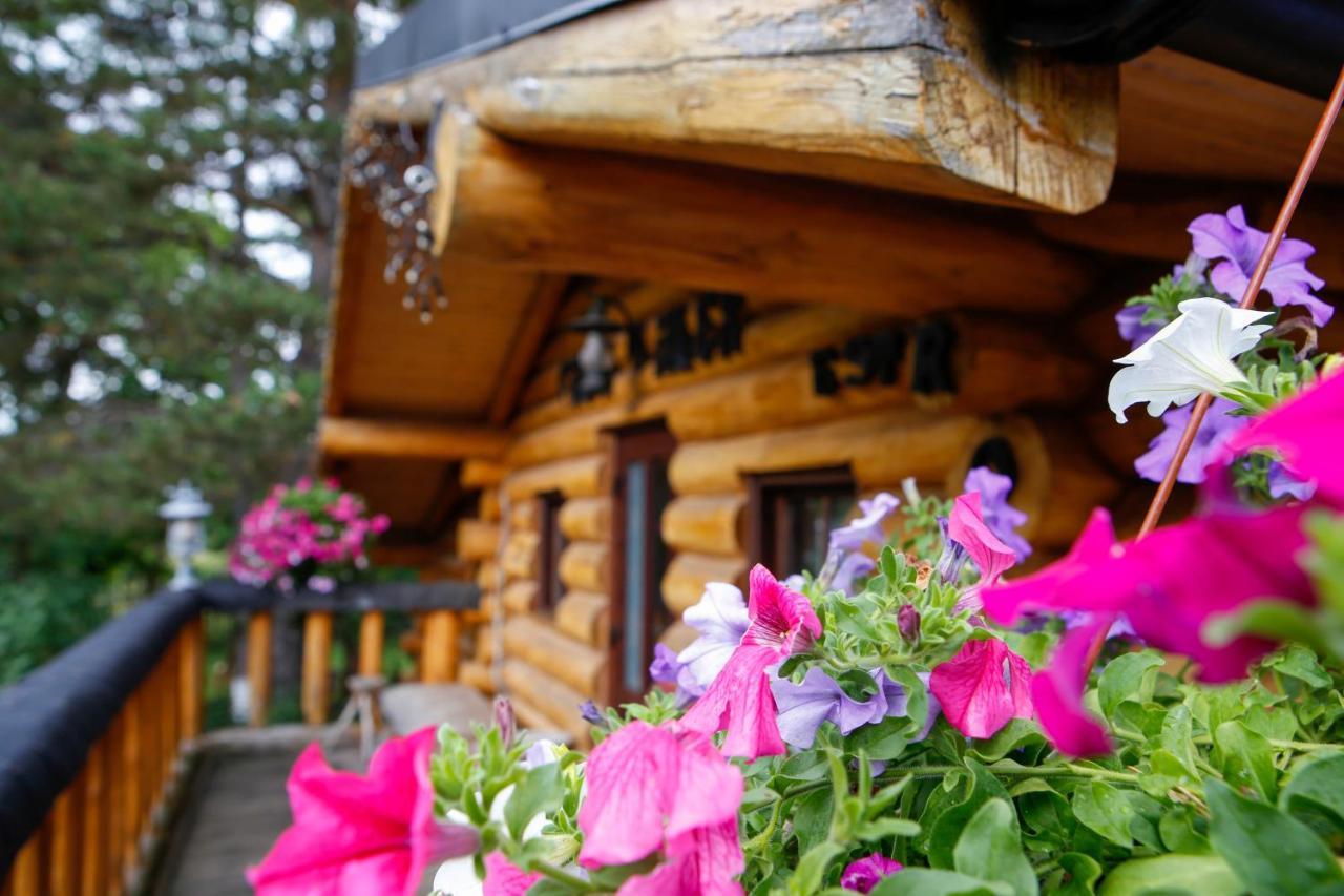 Casa Baciu Guest house *