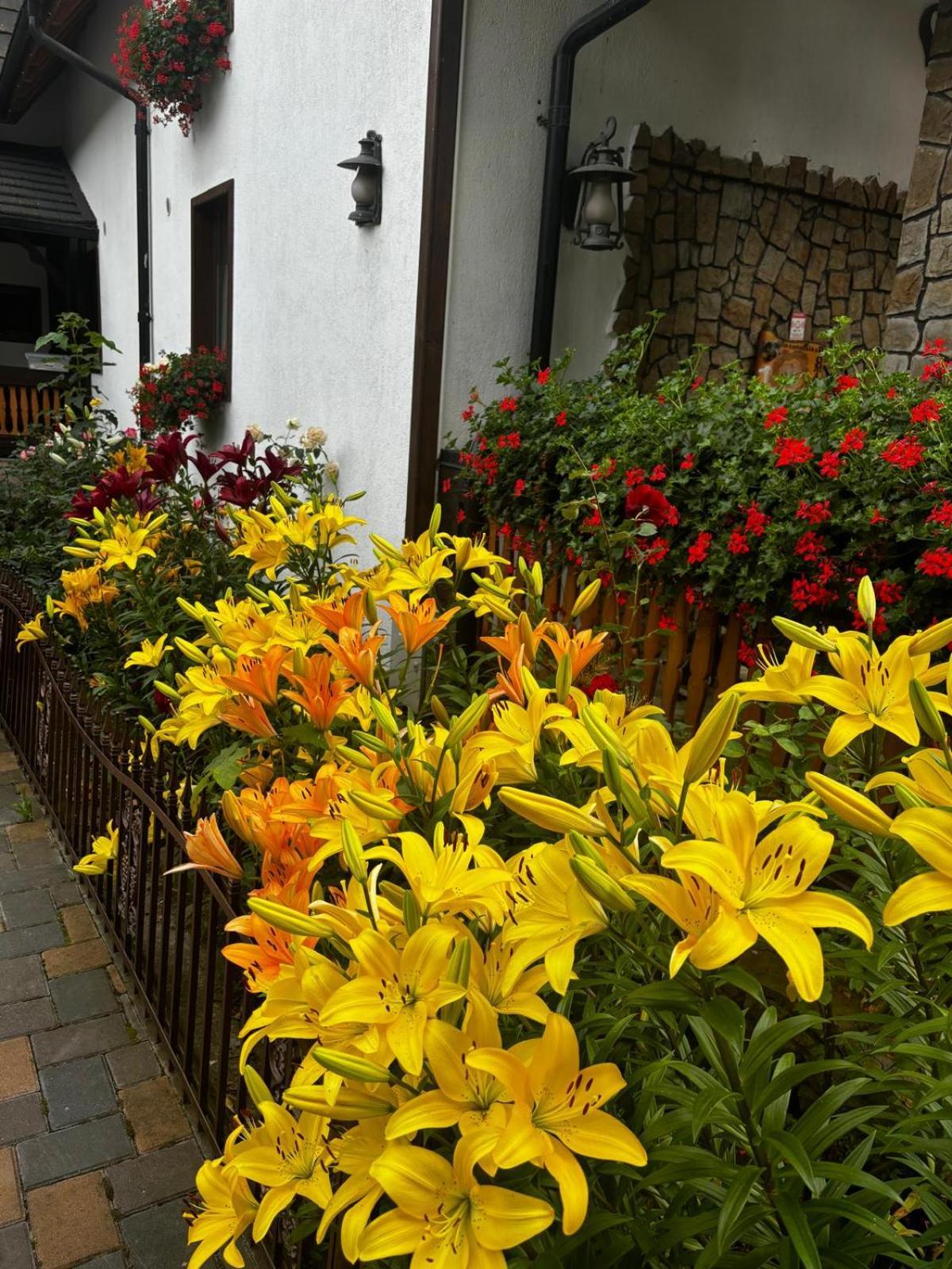 Casa Baciu Guest house *